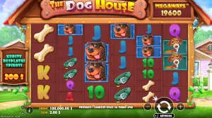 the dog house megaways